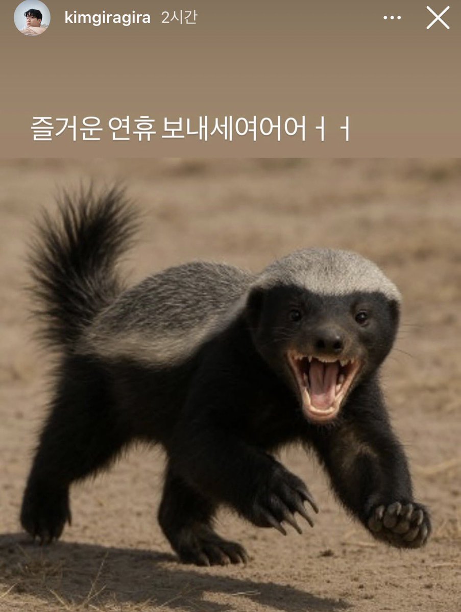 못살아 ㅋㅋㅋㅋ 저녁 먹고나니 스크롤 내려도 내려도 온통 벌꿀오소리야 ㅋㅋㅋㅋㅋ (나도 동참)