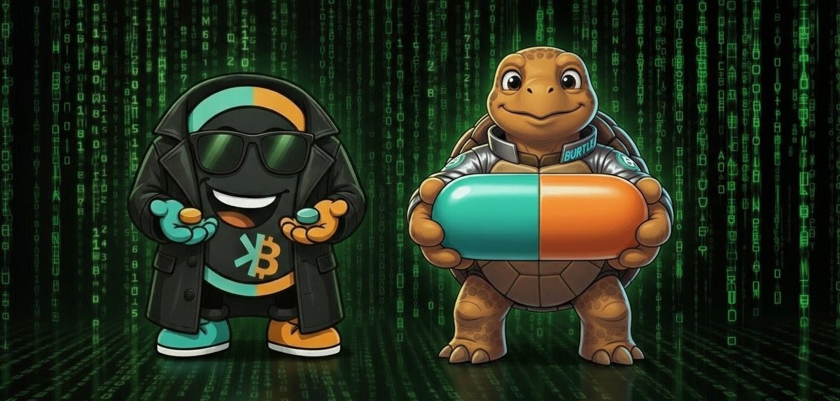 KasBTC | HUB21 tweet media