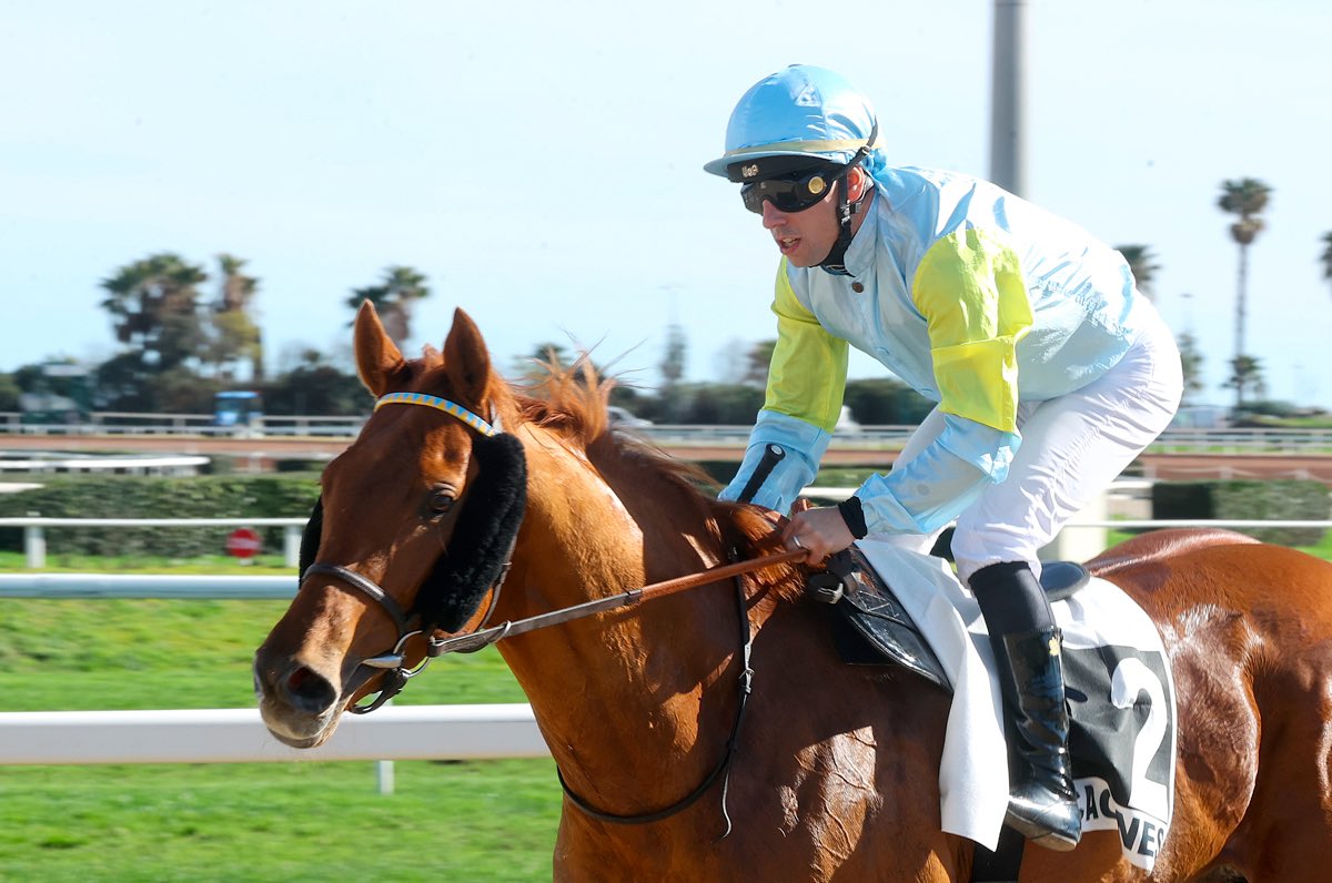 Henri-Alex Pantall tweet media