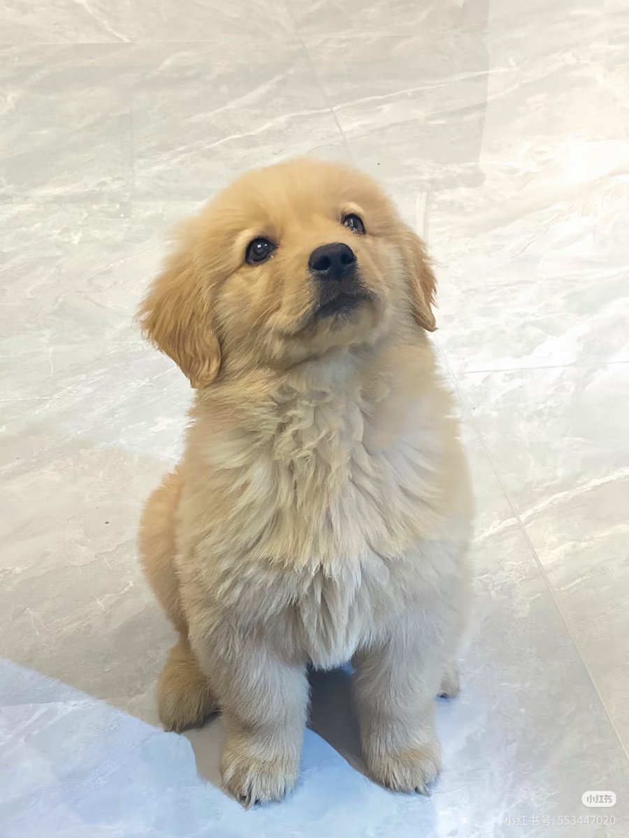 มาก่อย tweet media