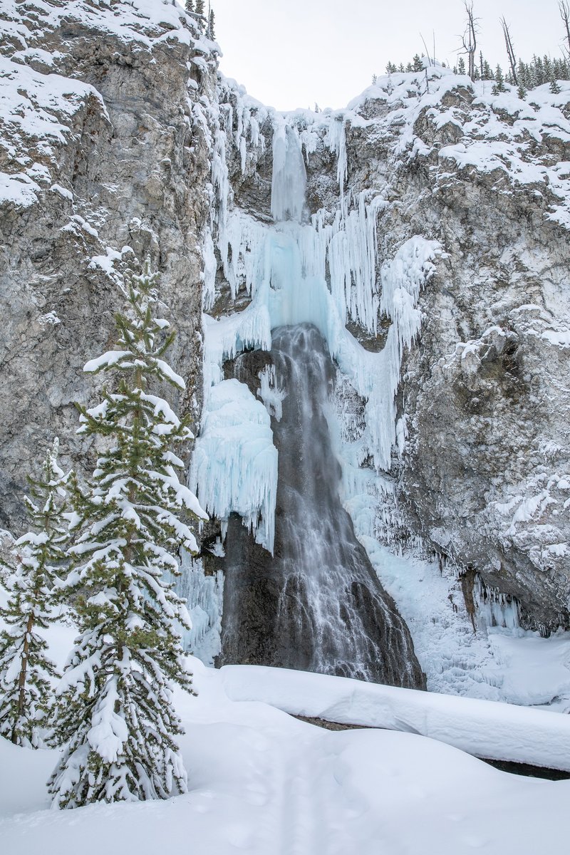 YellowstoneNPS's tweet photo. Waterfalls in winter are pretty magical! Ice forms in varying shapes depending on conditions, revealing a different masterpiece each year. Do you have a favorite waterfall in Yellowstone?

Photos: 1) Lower Falls; 2) Cave Falls; 3) Tower Fall; 4) Fairy Falls https://t.co/vx7vlkR7MM