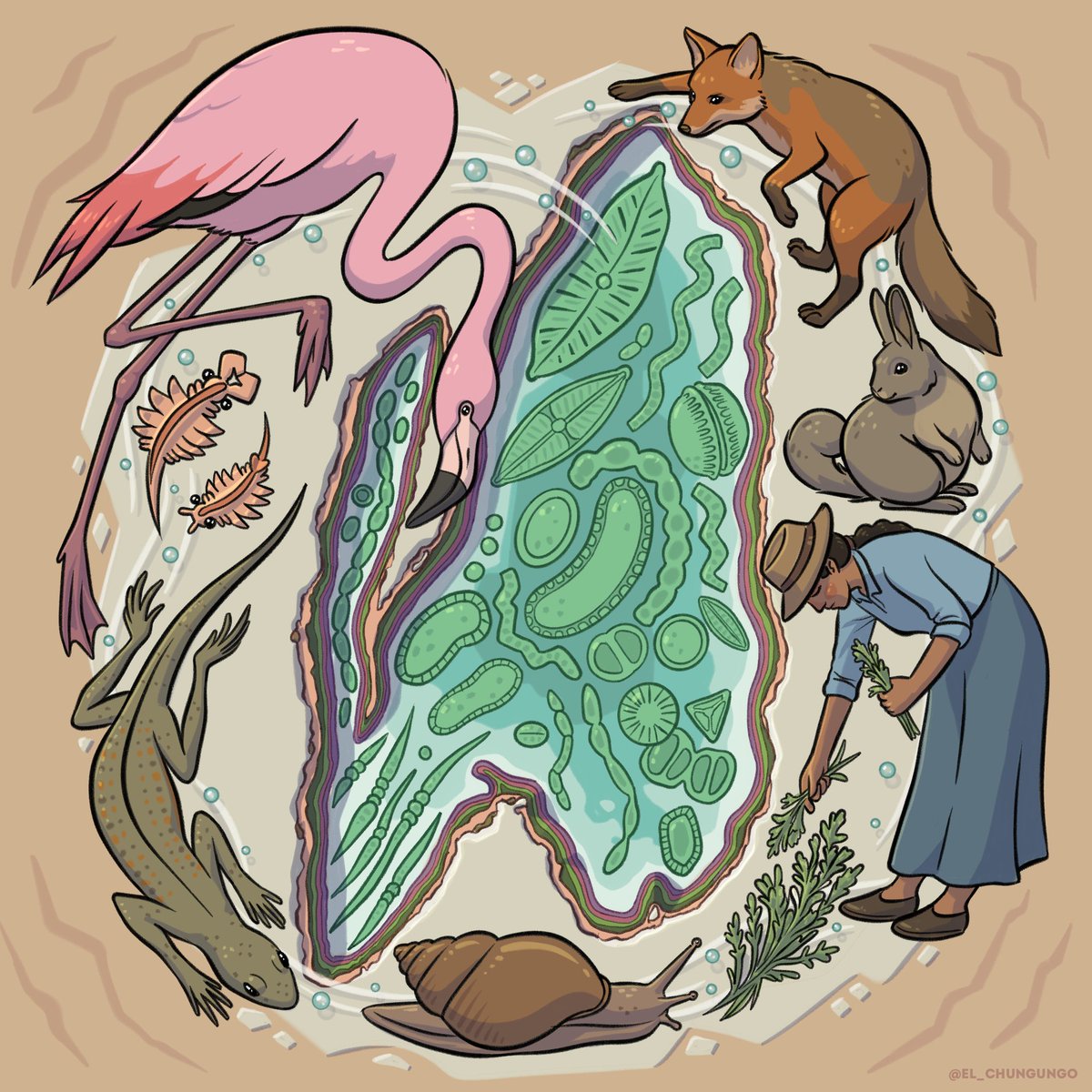 Salar microbiano 🦠💕

Todo está relacionado. El salar de Atacama es un holobionte, innumerables relaciones simbiontes que forman un ser vivo complejo porque todo está vivo. 
¿Cómo vivirán los que vienen? ¿La naturaleza será sólo un recuerdo?