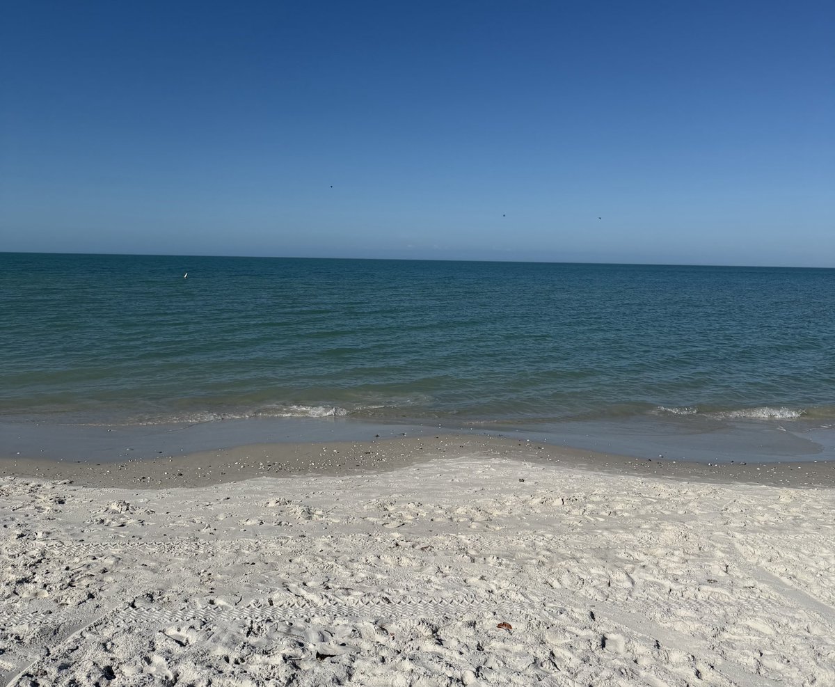 Dave ₿ 🌴 tweet media