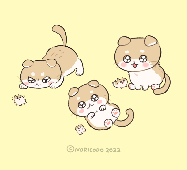 名前は『コビニャンコ』です🐱 コビハムとは別個体です よろしくお願い