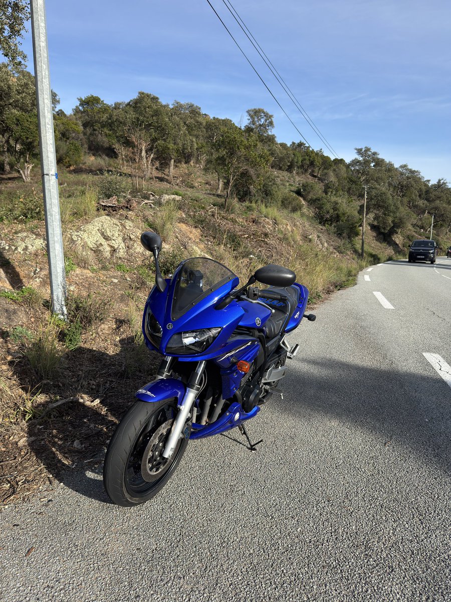 spicy🌙 tweet media