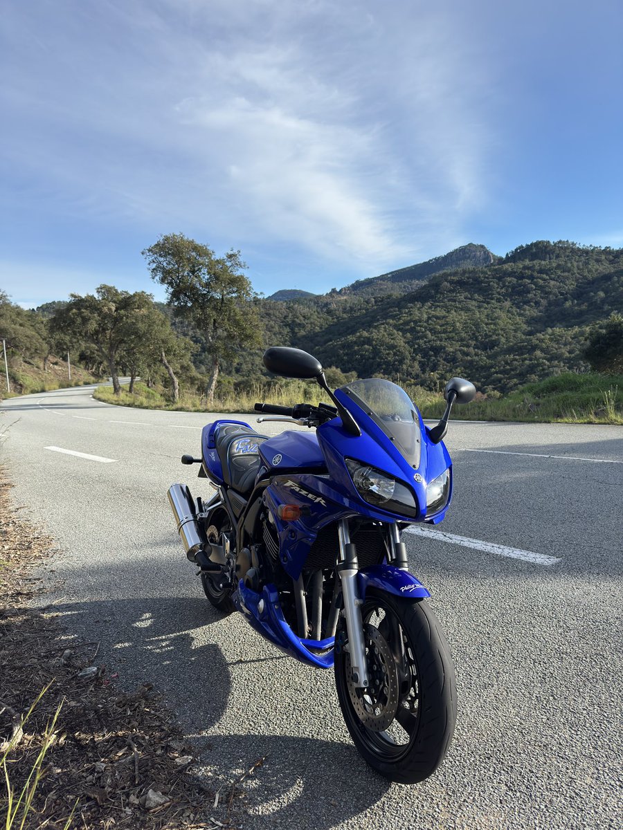 spicy🌙 tweet media