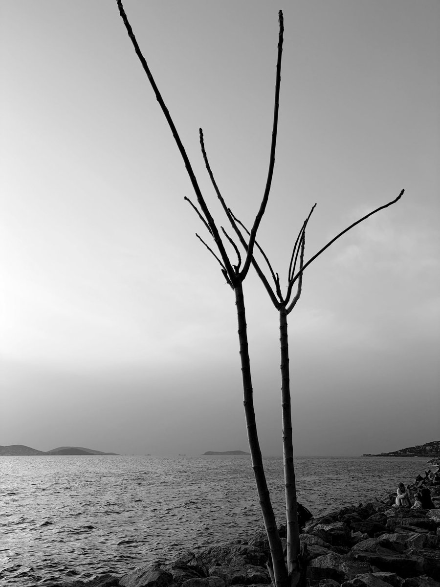 Arkadaşlarımı beklerken denize karşı dikildim; iki dal beni organizasyon komitesine aldı. Şu an hep birlikte “acaba biz gerçekten var mıyız yoksa geç mi kaldılar” diye tartışıyoruz 🙃
