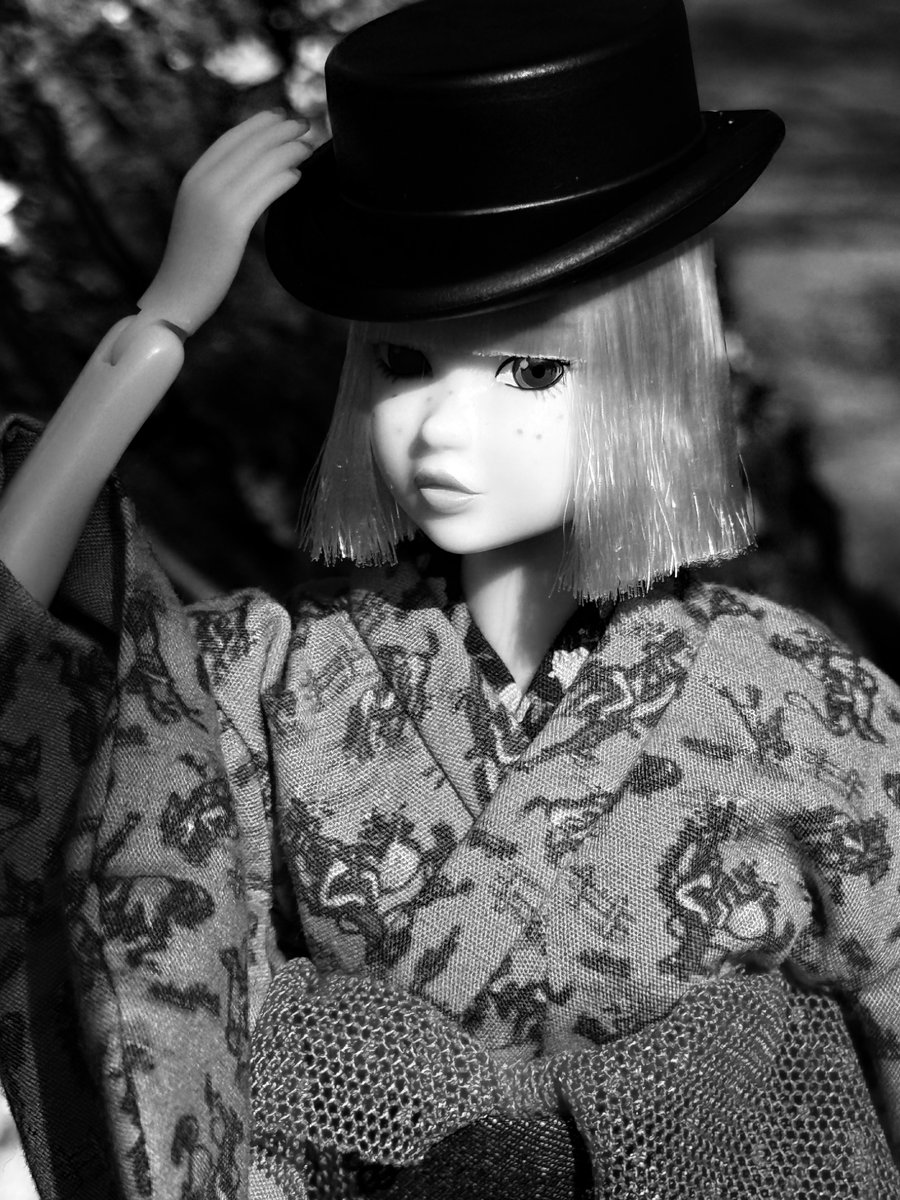takarno43's tweet photo. #momokodoll https://t.co/G5VrLSzOyZ