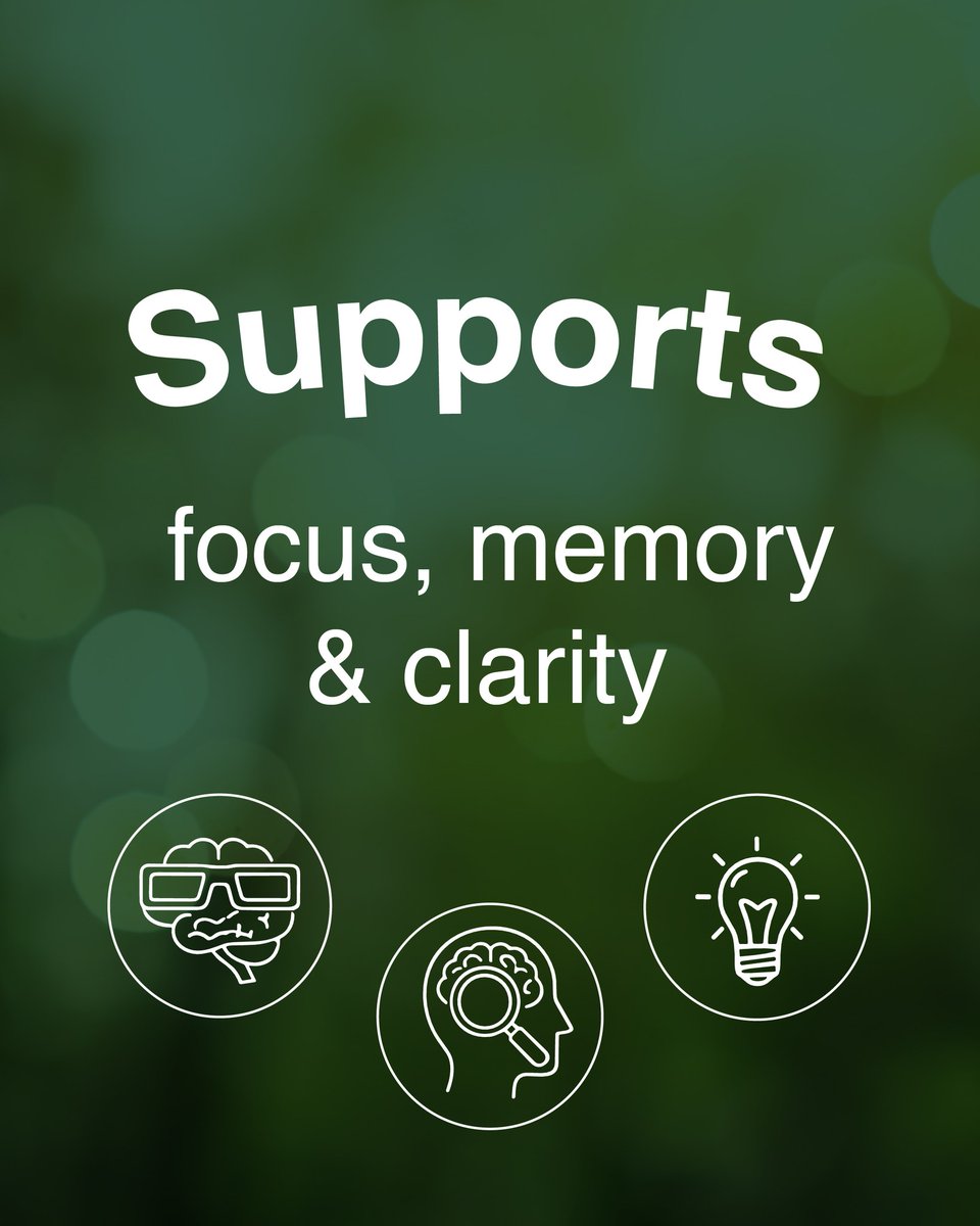 Plant-based omega 3 to support cognitive performance - no fish, no compromise.