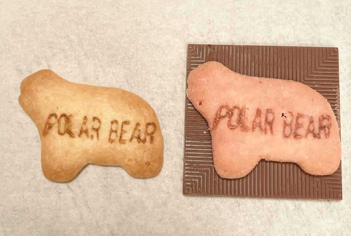 チョコレートバンクのたべっ子どうぶつと、いつものたべっ子どうぶつを並べてみた。