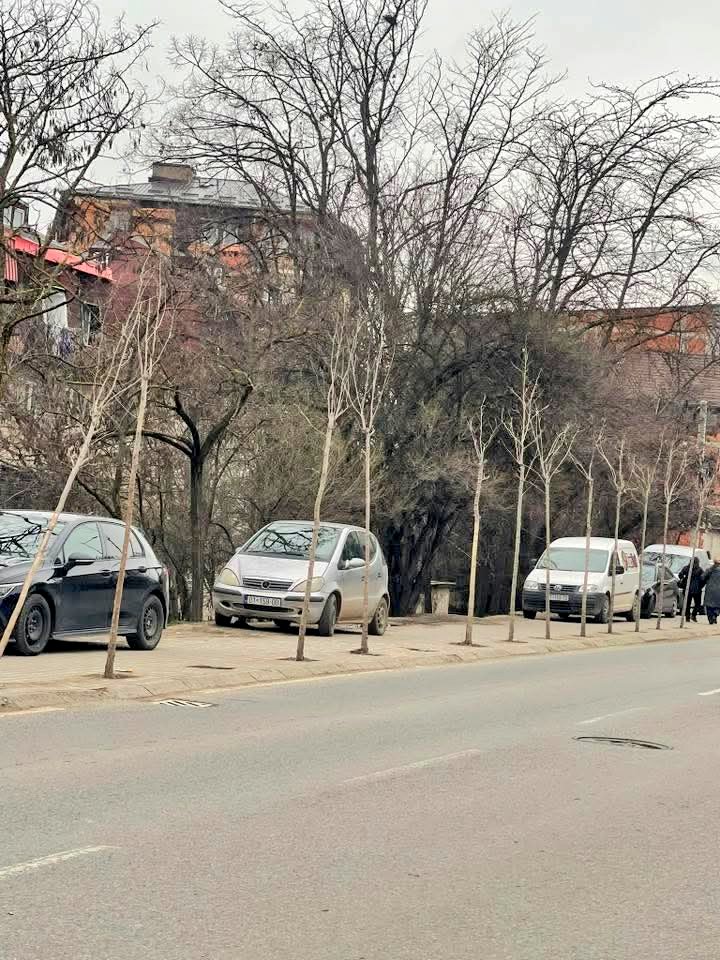 Kemi raportuar disa here. Jane shkulur dhjetra peme qe shpellaret te parkohen ne trotuarin rruges per Germi. A ka ne kete qytet police e zyrtare komunal qe kryejne punen per te cilen paguhen nga taksat tona?