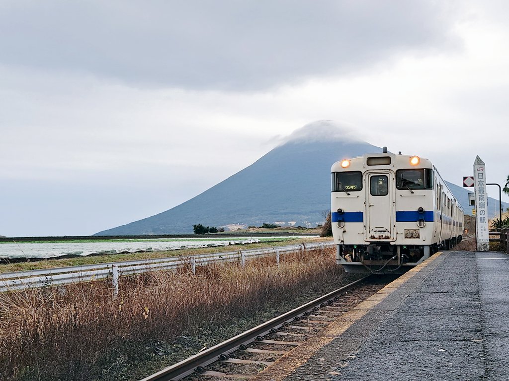 miel🌈⛩️ tweet media