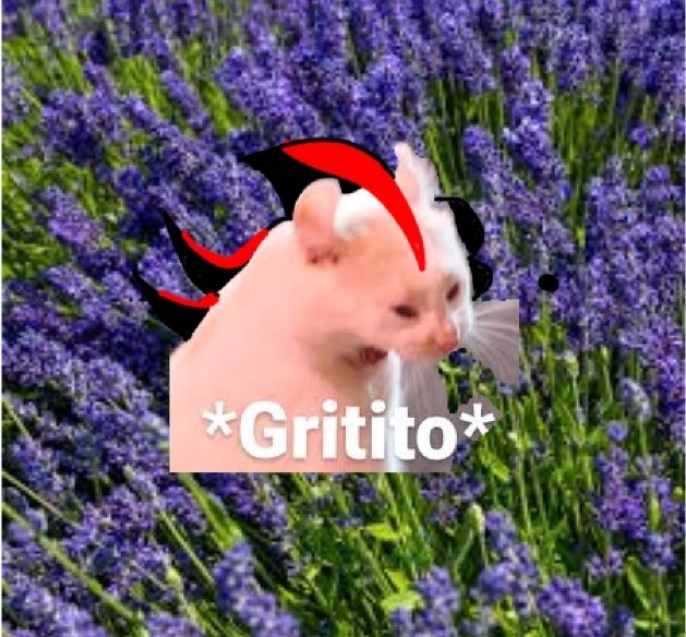 💜 ;; 𝓚𝓸𝓫𝓲 🌙🍒 tweet media