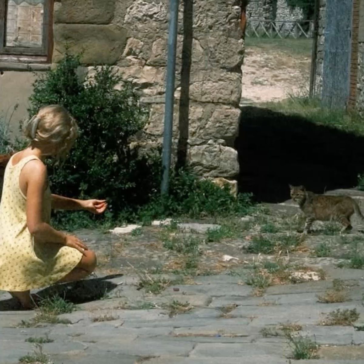 me out searching for the mans best friend tour announcement everyone said was happening this past week