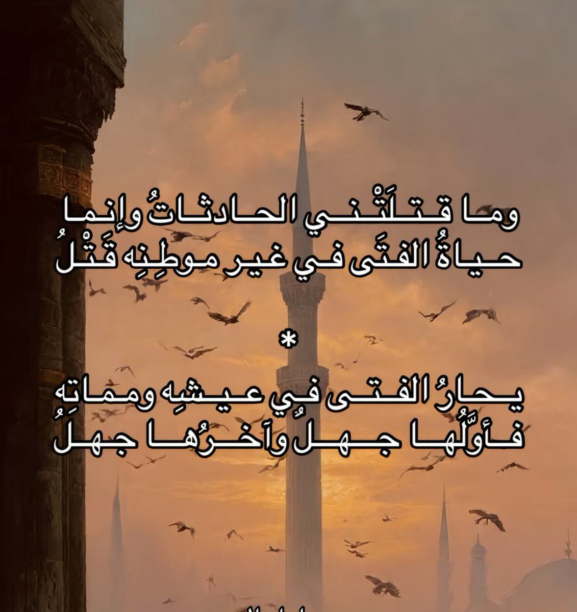 عبدالعزيز tweet media