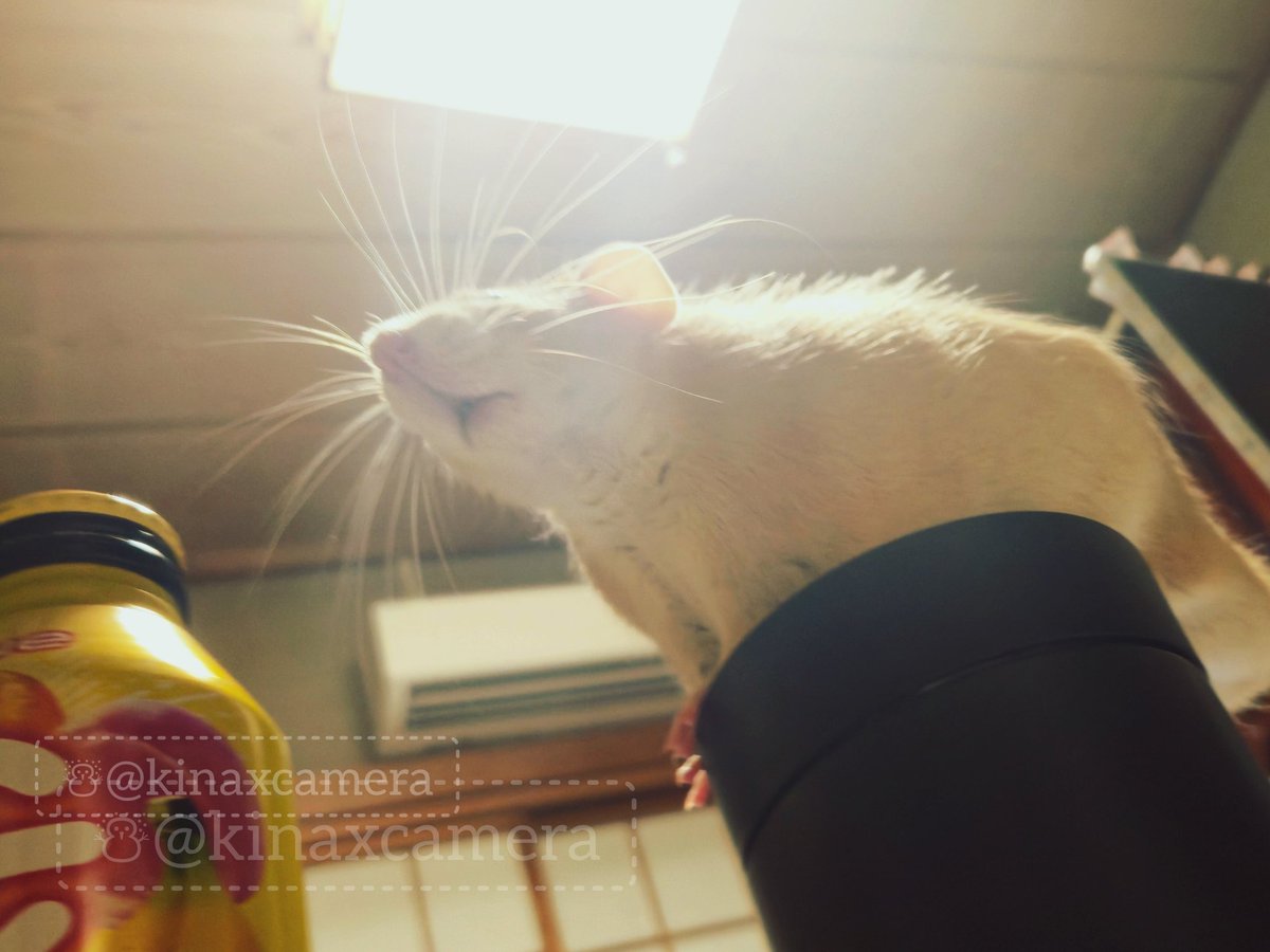 降臨… It descends