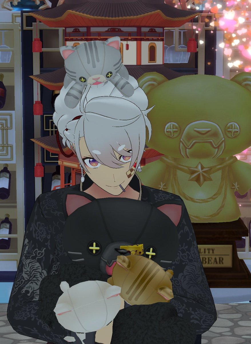 カサちゃ8ヶ月のお祝いもありがとう✨ チルちゃんはニャンコタワー