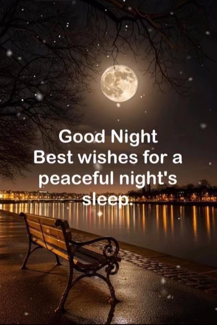 Good Night. Best wishes for a peaceful night's sleep.