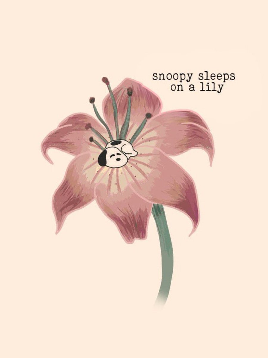snoopy lover (@snoopyfever_) on Twitter photo 