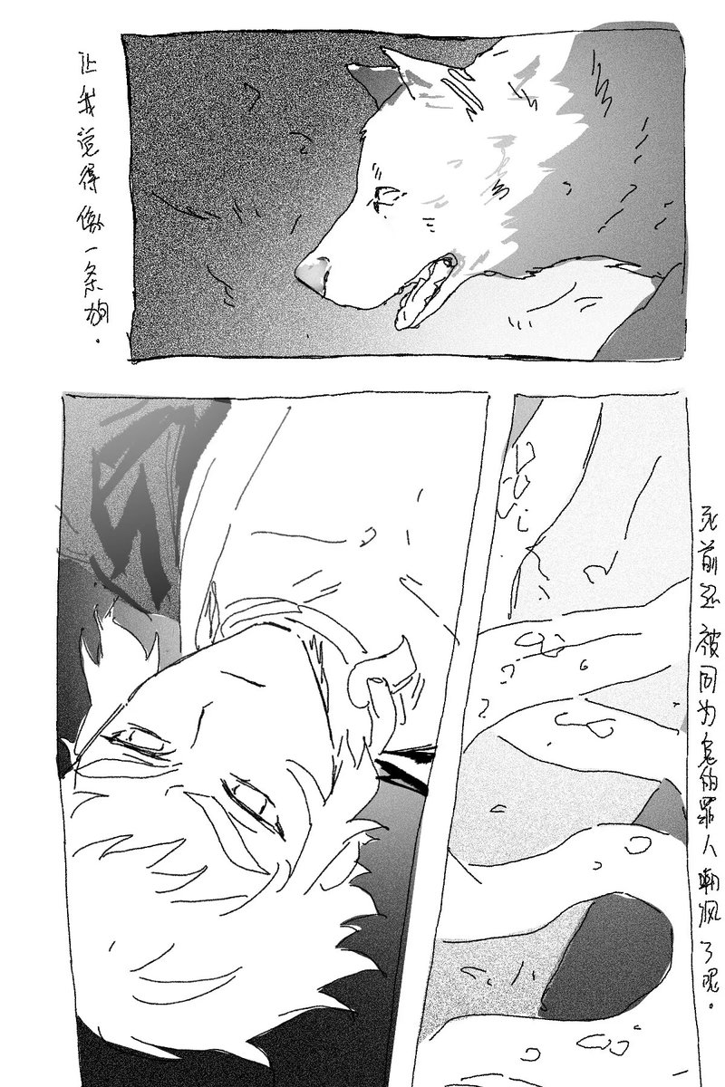 善狯1