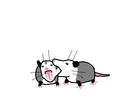 2oo0o0m tweet picture