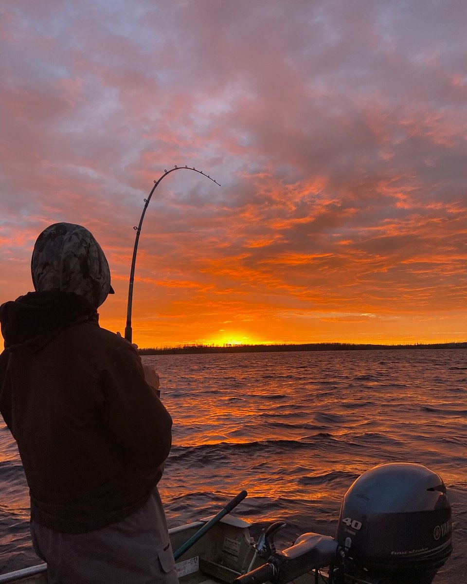 FishDogskin's tweet photo. Golden hour hookup. 🌅🎣

This is what the best fishing moments look like—rod bent, sunset painting the sky, and nothing but wilderness in every direction. 

This is why you fish. This is why you travel north. This is Dogskin.

#DogskinLakeLodge #Sunset #ManitobaFishing https://t.co/B7WK9dNc8p