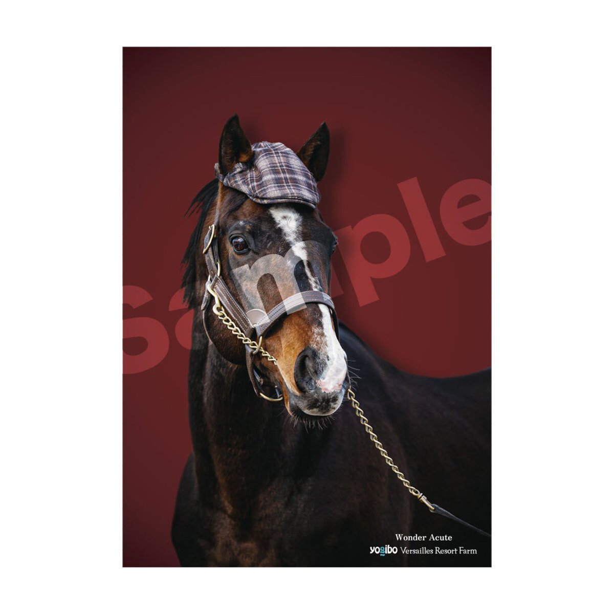 迫力のポスターで、名馬たちをあなたのもとへ ／ 競馬ファンの心を
