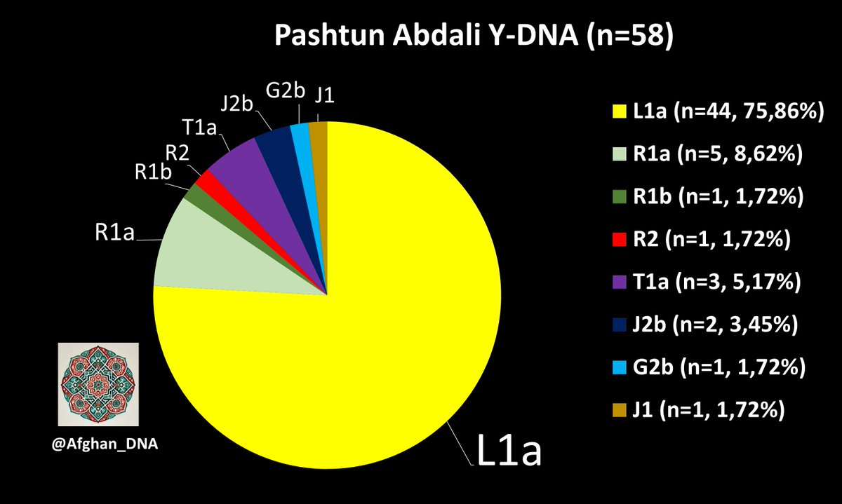 Y-DNA chart for Abdali Pashtuns. The sample size is now n=58. The last two ruling dynasties of Afghanistan belonged to this tribe and at least the Mohammdzai dynasty is confirmed to be L1a2. 

Abdali Pashtun L1a2 subclade: yfull.com/tree/L-Y17950/