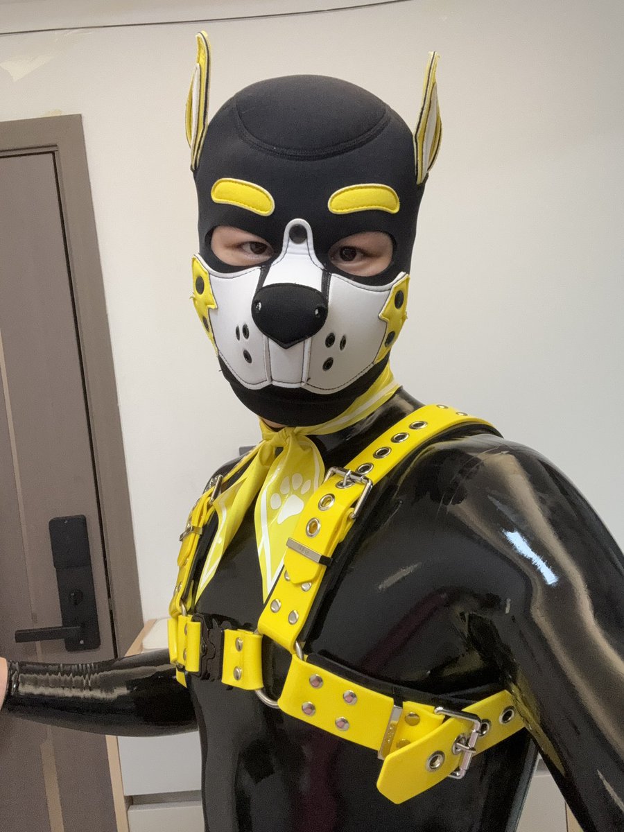 Ziven Studio tweet media