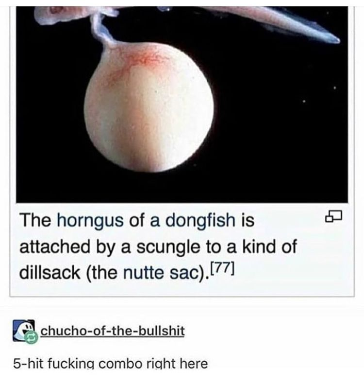 rio 🪲 bug oomf tweet media