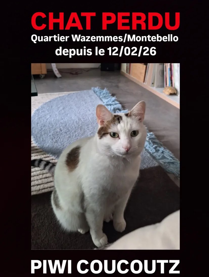 Abel Ménestrel🦇🗡️ tweet media