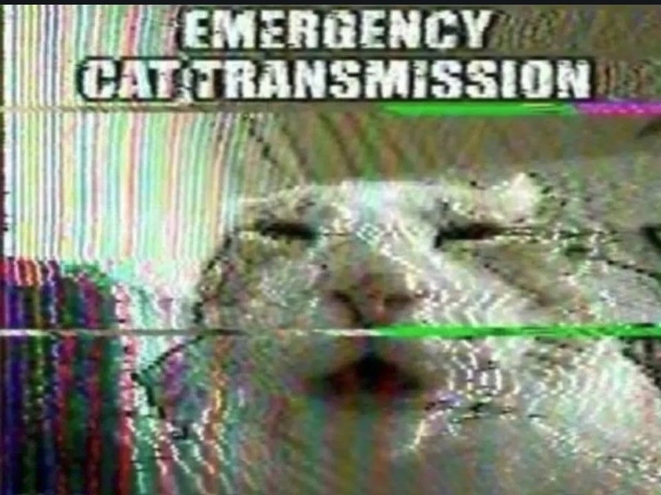 Having free resources online and generating an AI image instead is like living in an orchard full of fruit ready for picking and driving to Walmart to buy some bullshit instead