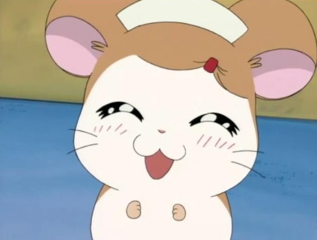 키묘 (@s2v0w0os2) on Twitter photo 