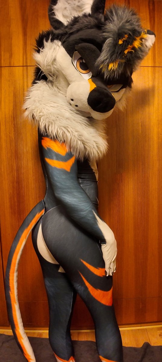 NEW PETSUIT!👀🧡
might need help breaking it in 😵‍💫