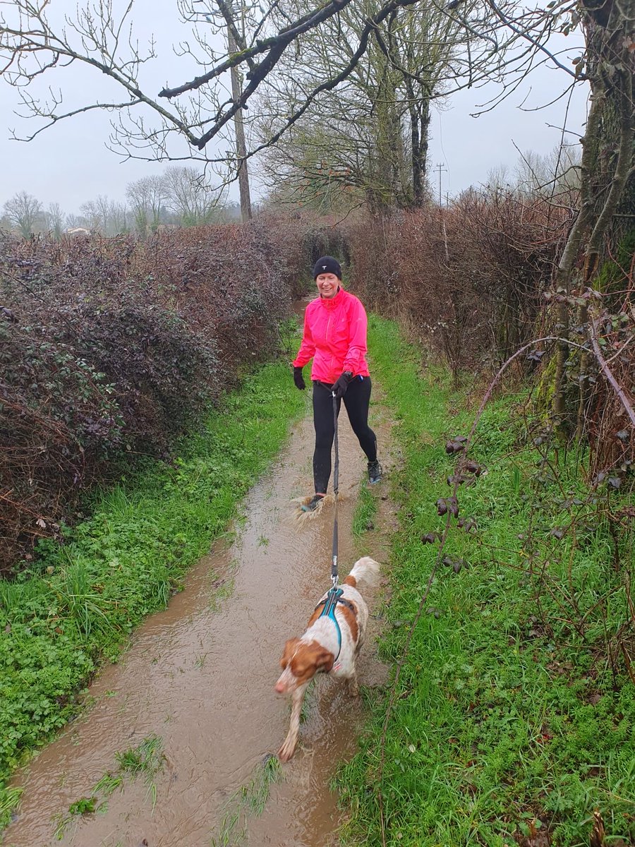 madcap_max's tweet photo. Frens, Max is not happy!!! 😡 HuMummy took marvellous Mavis to #canicross club this morning without him, it’s good for Mavis to socialise with other doggies. Now she’s told him all about the pawtastic muddy puddles and he’s sulking!!! #nortysquad https://t.co/QrSStdBEjH