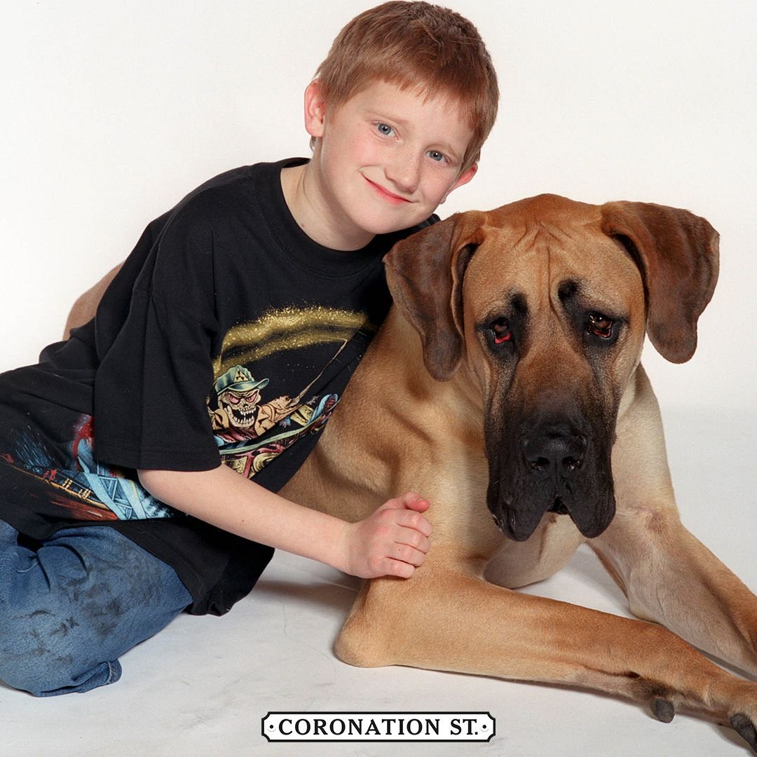 schmiehcel and scales