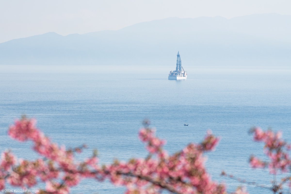 任務を終えて2/14に清水港へ帰港した、地球深部探査船「ちきゅう」⛵️ 早咲きの河津桜を添えて、母港である静岡らしいワンシーンを撮影することができました🌸