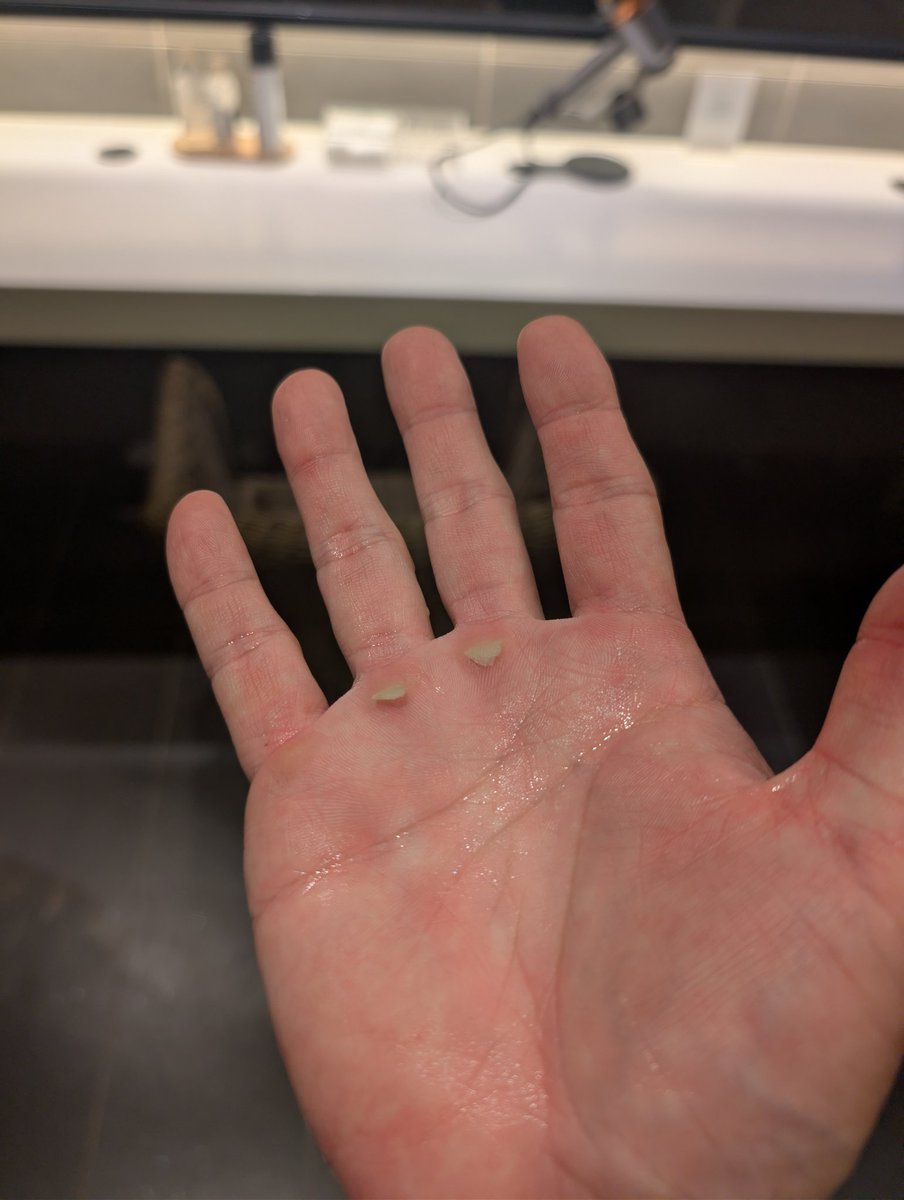 哲學的哲 tweet media