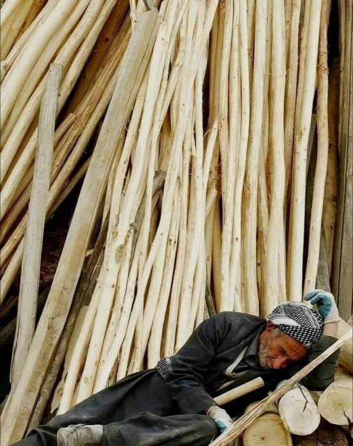 مرۆڤ کەزیاد لەپێویست 
ئازاری چشت بەهێزنابێت .
        بێ هەست ئەبێ