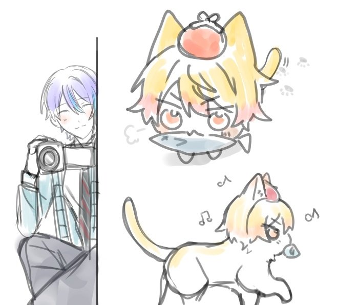 おつかい🐱🌟
(猫の構造変です。薄目でお願い)