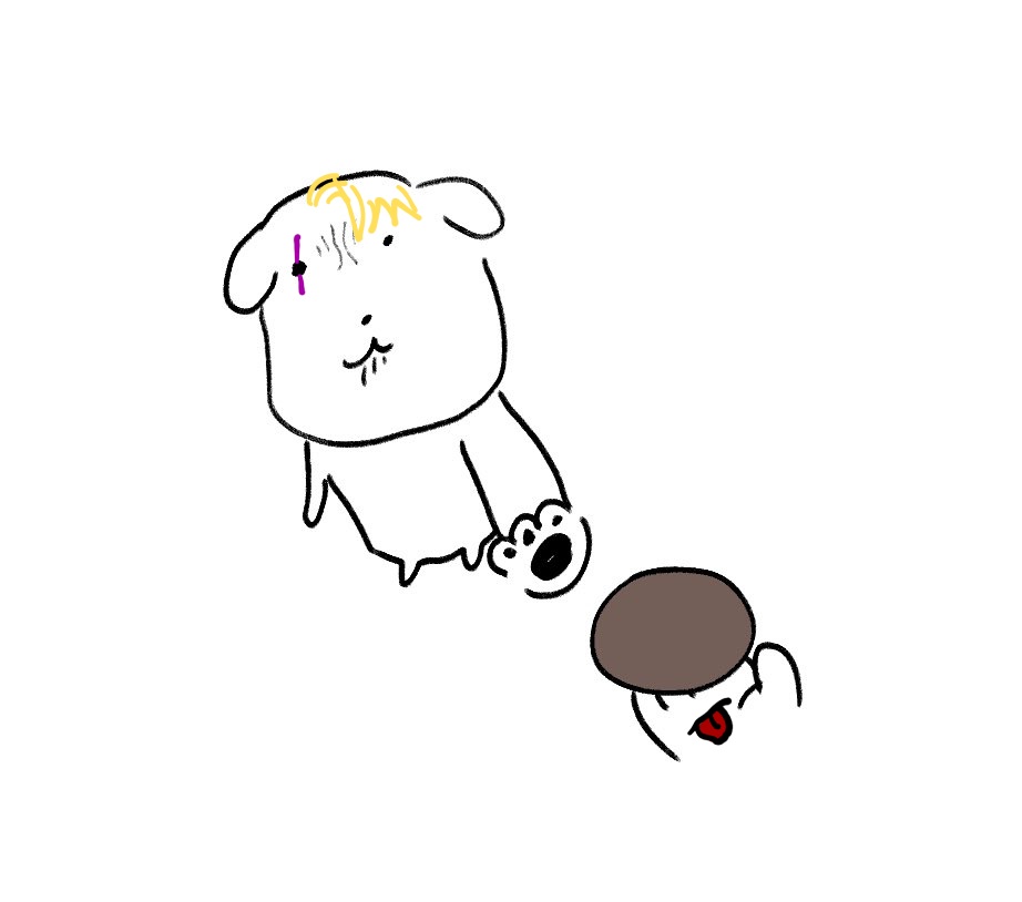 트친들비계팔로우넣어줘요 (@ak_rmfarp) on Twitter photo 