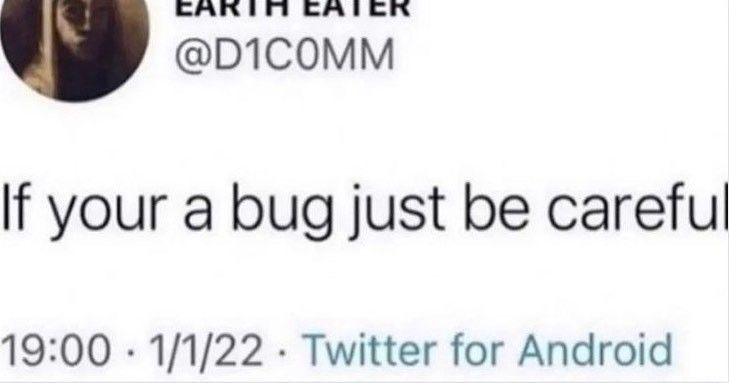 rio 🪲 bug oomf tweet media