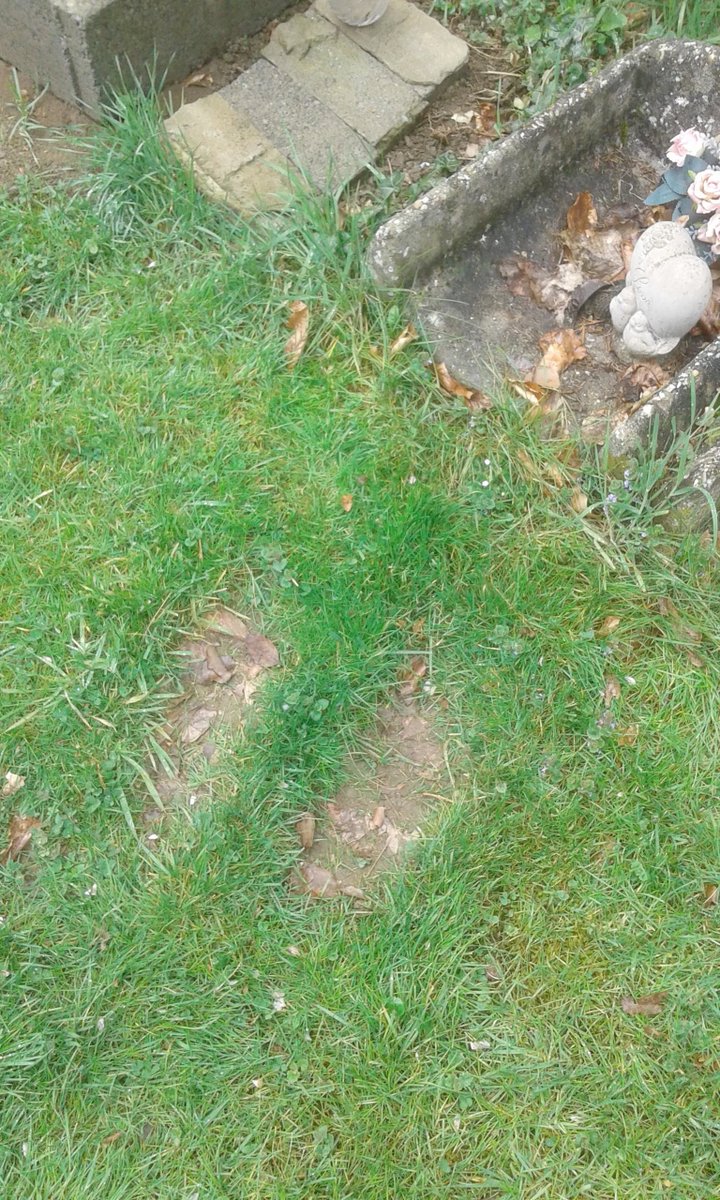 Mildly Interesting tweet media