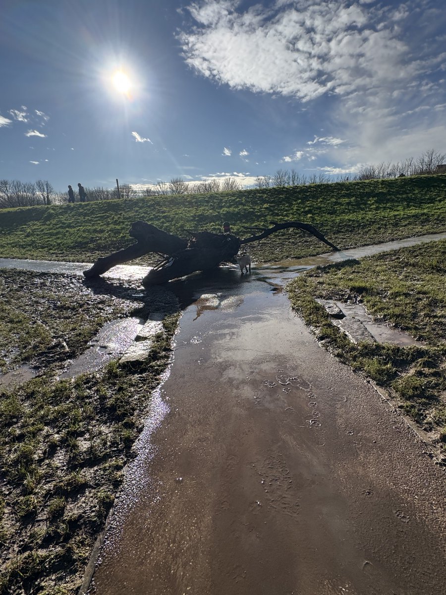 Christine Ramos Roberts 🇺🇦🇨🇦 tweet media