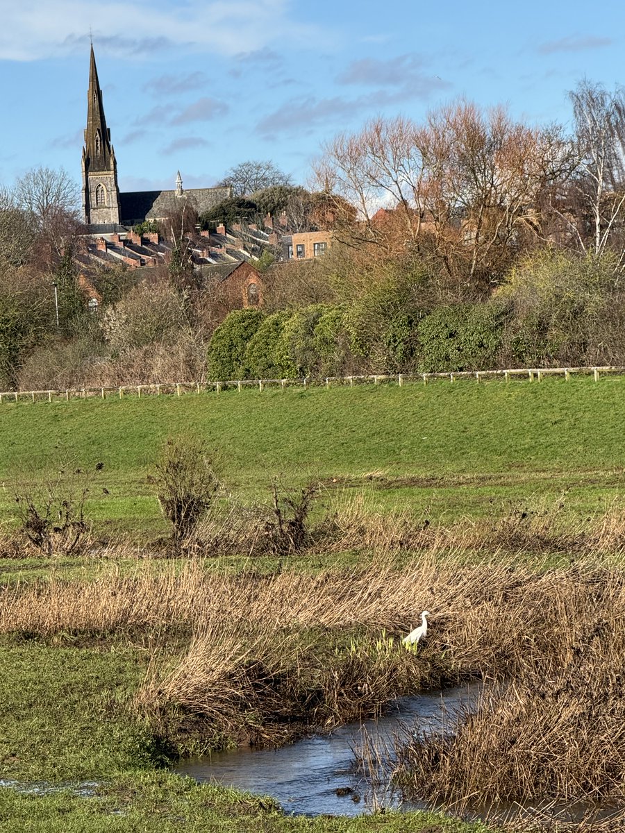 Christine Ramos Roberts 🇺🇦🇨🇦 tweet media