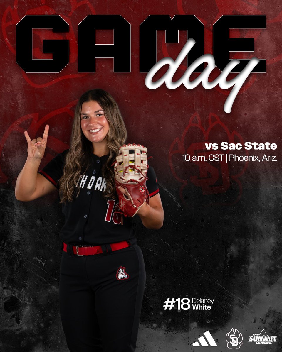 South Dakota Softball tweet media