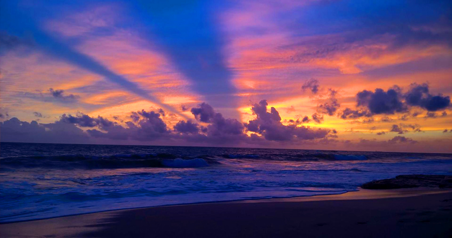 Tropicality Travel Tips tweet media