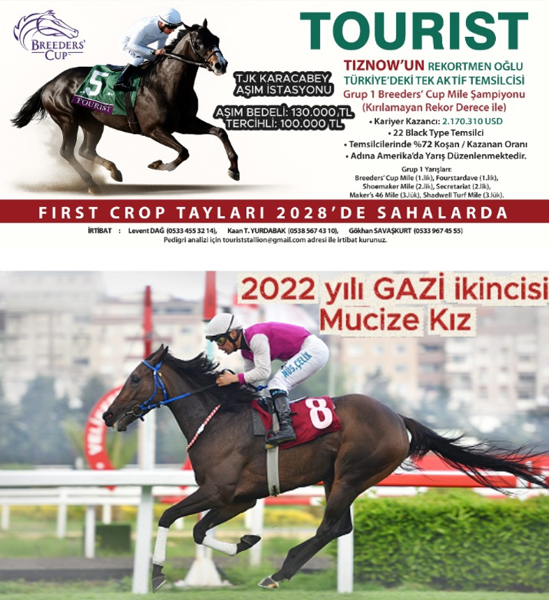 TouristStallion's tweet photo. MUCİZE KIZ🇹🇷
(TOROK🇮🇪 -  PLUCKY KHAN🇮🇪 / HOLY ROMAN EMPEROR🇮🇪)        

2022 yılı GAZİ koşusu 2. si MUCİZE KIZ  isimli kısrağı ile aygırımız TOURIST'i tercih eden Sn. Ahmet KORKMAZ Bey'e teşekkür eder, şampiyon bir tay elde etmelerini temenni ederiz. 

Truenicsks linki:
https://t.co/IQ9vTCe9Xk
