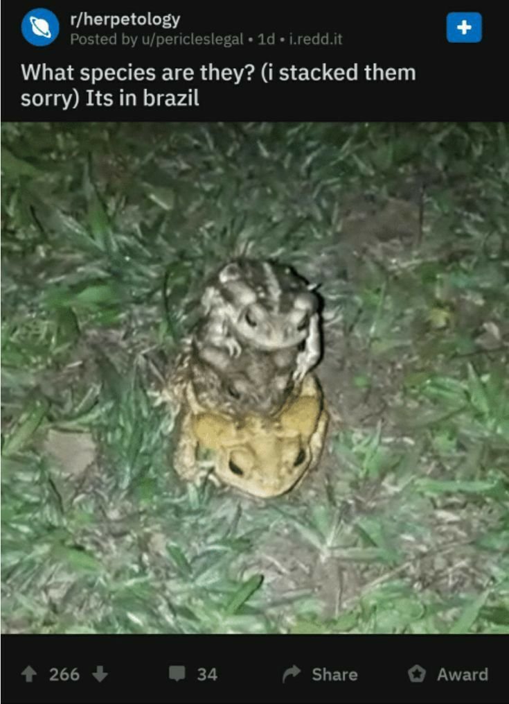 rio 🪲 bug oomf tweet media