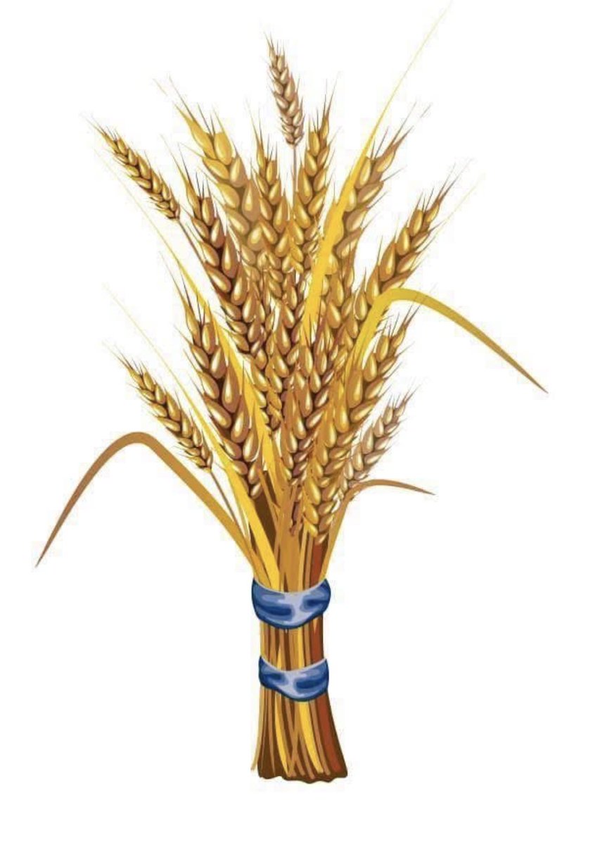 ብልጽግናን መምረጥ

የኢትዮዽያ ክብር ከፍ 
የኢትዮዽያ የባሕር በር ሲከፈት
የኢትዮዽያ ሁለንተናዊ ብልጽግና ሲረጋገጥ 
የኢትዮዽያ ፍትሕ ሲሰፍን 
የኢትዮዽያ ዴሞክራሲ ሲጸዳ
የማየትን ዕድል መምረጥ ማለት ነዉ።